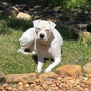 Meet your Posher, Jillian